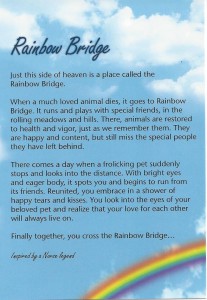 Rainbow Bridge - Jackie