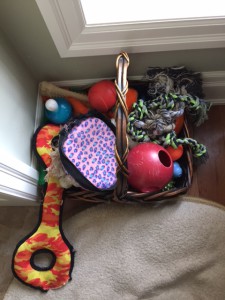 Dog Toy Box