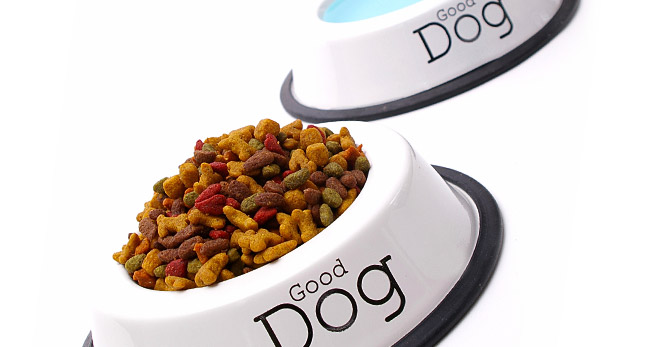 Dog Bowls & Storage