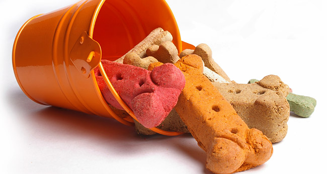 Dog Treats & Food