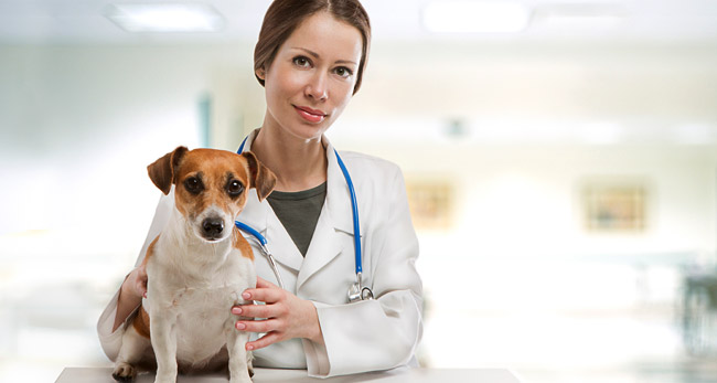 Veterinarians