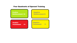 Four Quadrants of training WOOF Now What